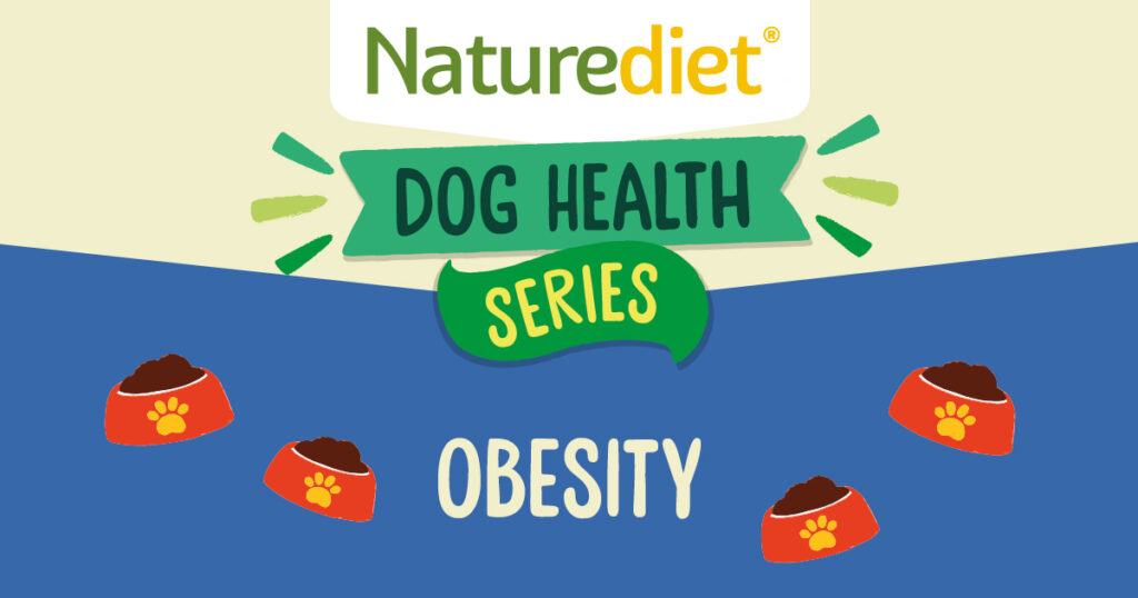Food for overweight dogs