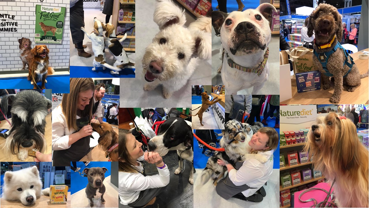Here are just a few snapshots of our Crufts 2019