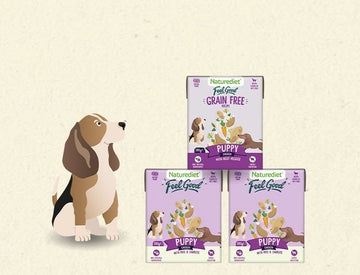 When do I switch from puppy to adult dog food?