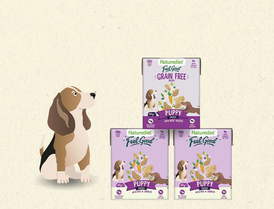 When do I switch from puppy to adult dog food?