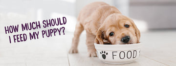 Naturediet Puppy Feeding Guide