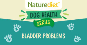 Health series – Bladder problems
