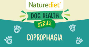 Health Series: Coprophagia