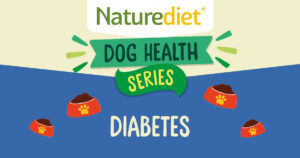 Health Series: Diabetes