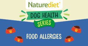 Health Series: Food Allergies