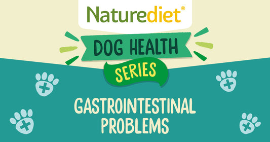Health series – Gastrointestinal problems