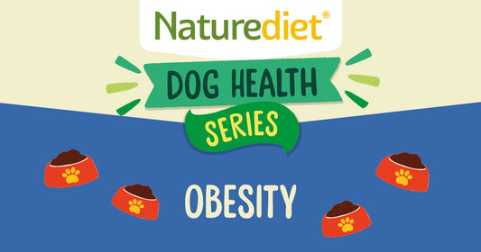 Health Series: Obesity
