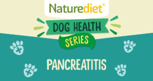 Health series – Pancreatitis