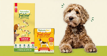 Feeding your dog a combined wet and dry diet