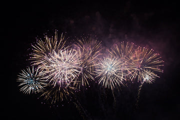 Keeping your dog safe and happy on Bonfire Night