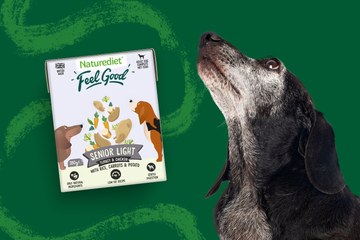 Senior Complete Dog Meals