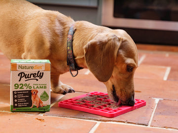 Purely Limited Time Offer