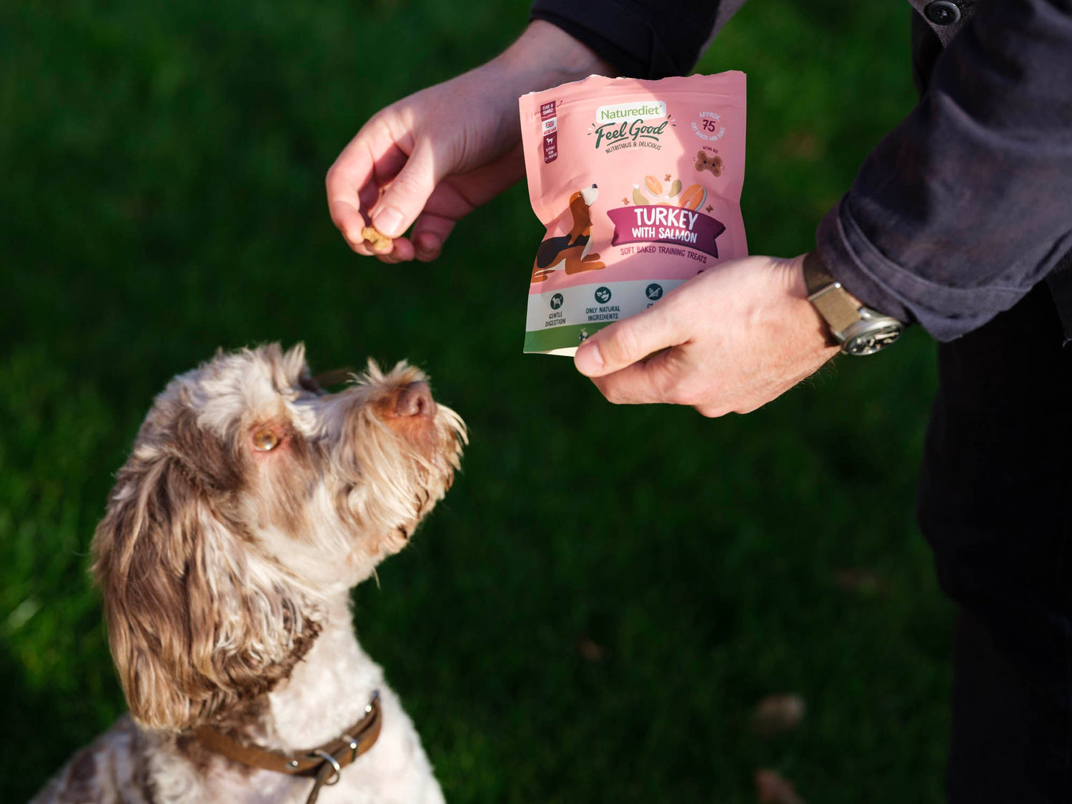 Treats