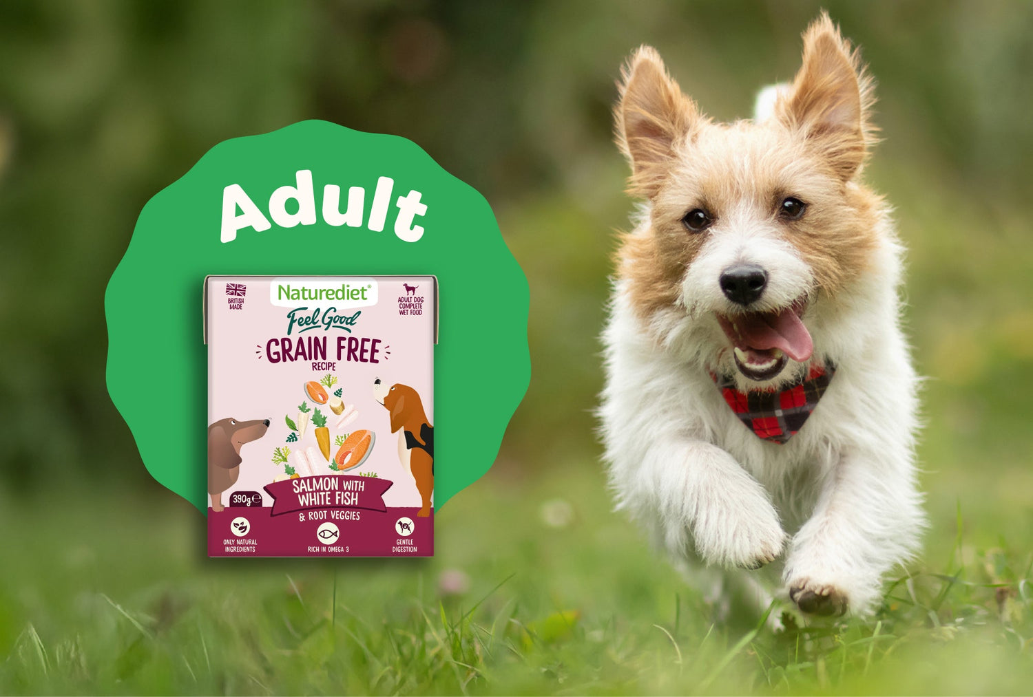 Adult Dog Foods