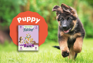 Puppy Food