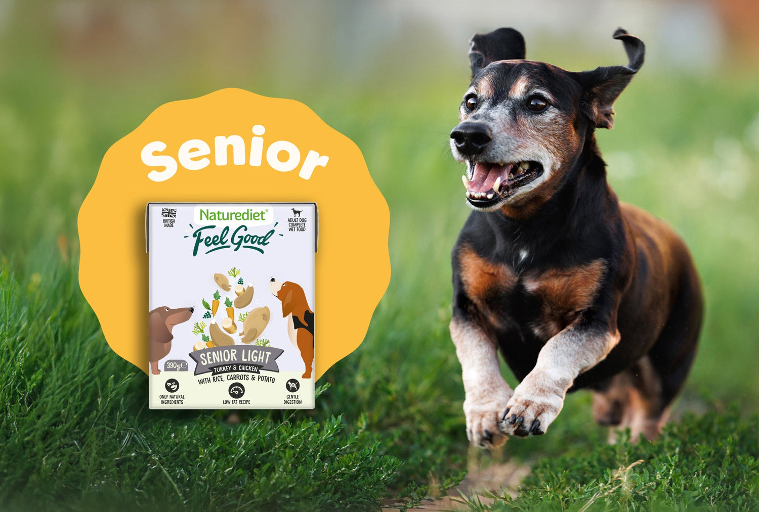 Senior Complete Dog Meals