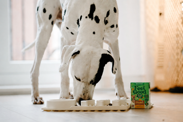 Feel Good Grain Free