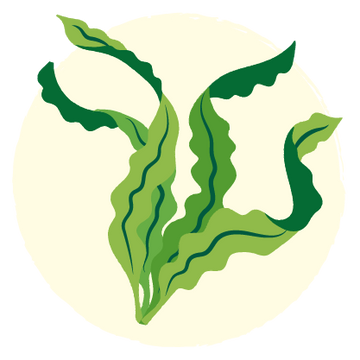 Green leafy design on a beige background