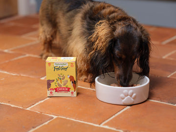 Why choose Feel Good?