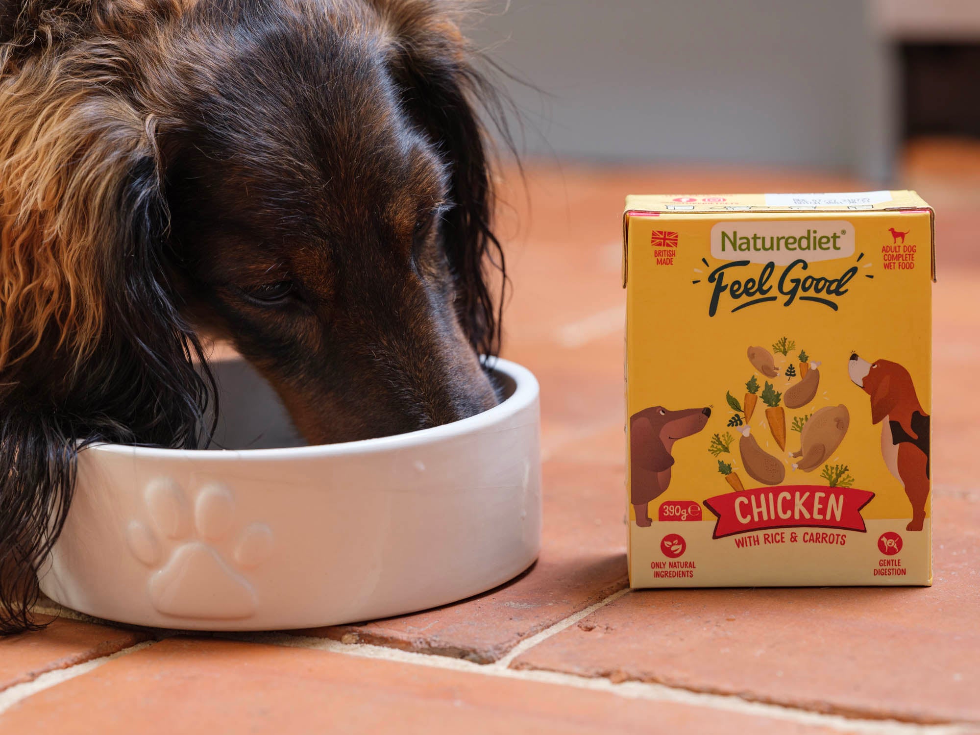 Dog eating from a bowl next to a Naturediet Feel Good chicken with rice and carrots box on a tiled floor.