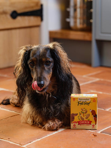 Dog sitting on a tiled floor with a box of Naturediet pet food in the foreground.
