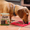 Dog eating from a pink mat next to a Naturediet Purely lamb food box on a tiled floor.