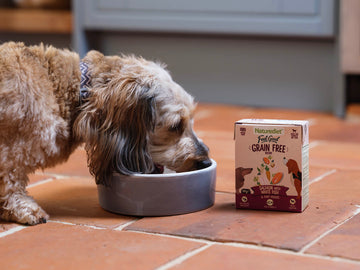 Dog eating from a bowl next to a Naturediet grain-free dog food box on a tiled floor.