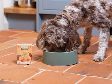 Dog eating from a green bowl with a box of Naturediet dog food on a tiled floor.