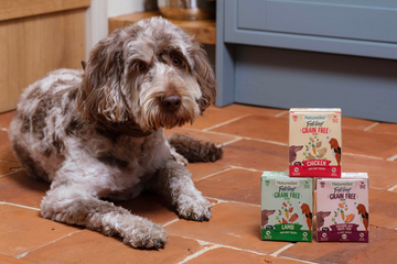 Why choose Feel Good Grain Free?