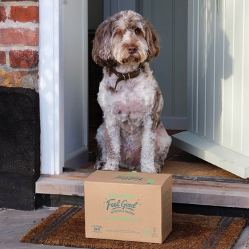 Dog sitting on a porch with a box of Naturediet 'Feel Good' dog food in front of it