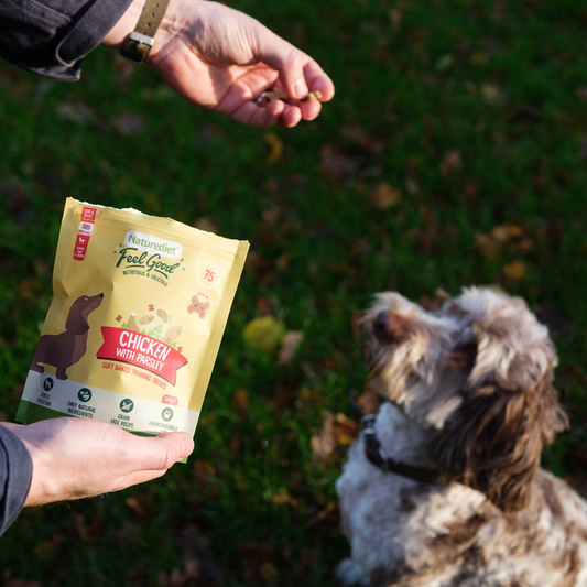 Person holding a package of Naturediet Feel Good Soft Baked Chicken with Parsley dog treats with a dog sitting on grass in the background.