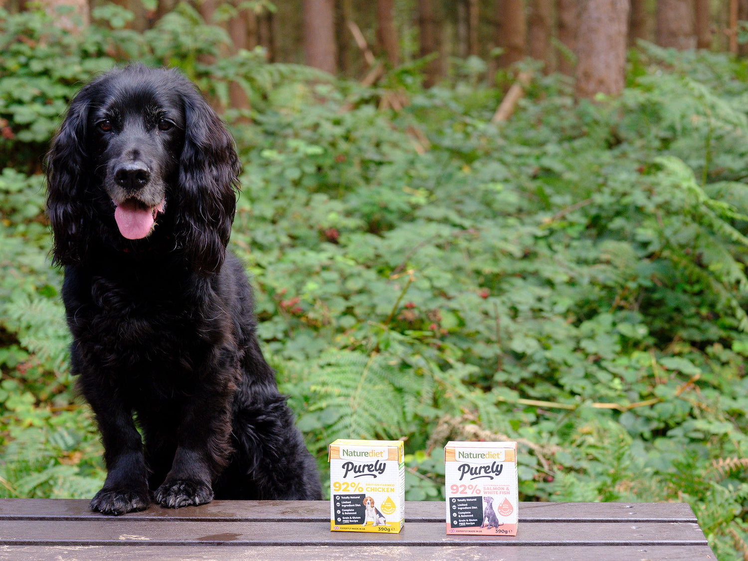 Black dog sitting on a wooden bench with two boxes of 'Purely' products in front of a green forest background.
