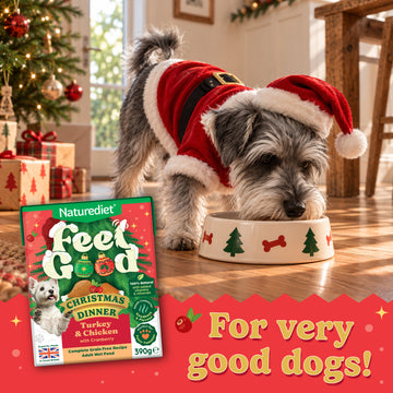 For very good dogs