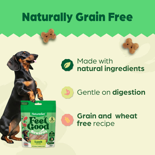 Feel Good Lamb Treats (8 x 100g Pouches)
