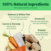 Feel Good Grain Free Salmon (390g Cartons)