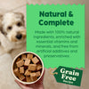 Feel Good Grain Free Salmon (390g Cartons)