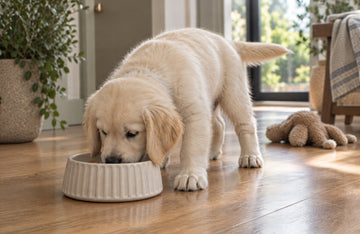 Why choose Feel Good Grain Free?