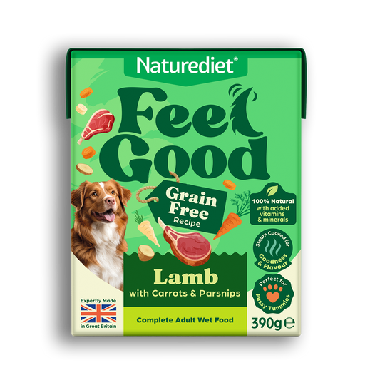 Feel Good Grain Free Lamb (390g Cartons)
