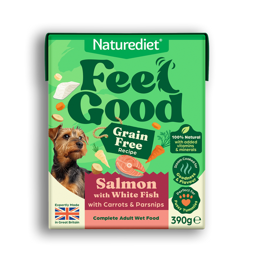 Feel Good Grain Free Salmon (390g Cartons)