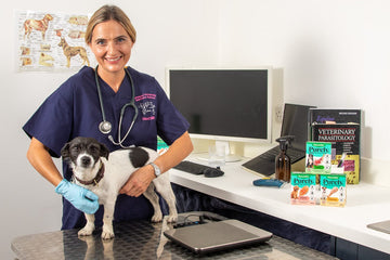 Vet-Approved Dog Food