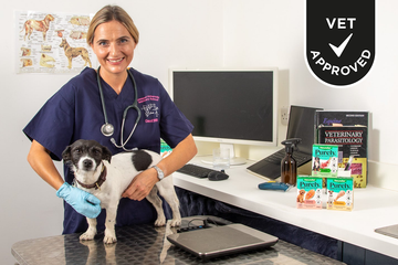 Vet-Approved Dog Food