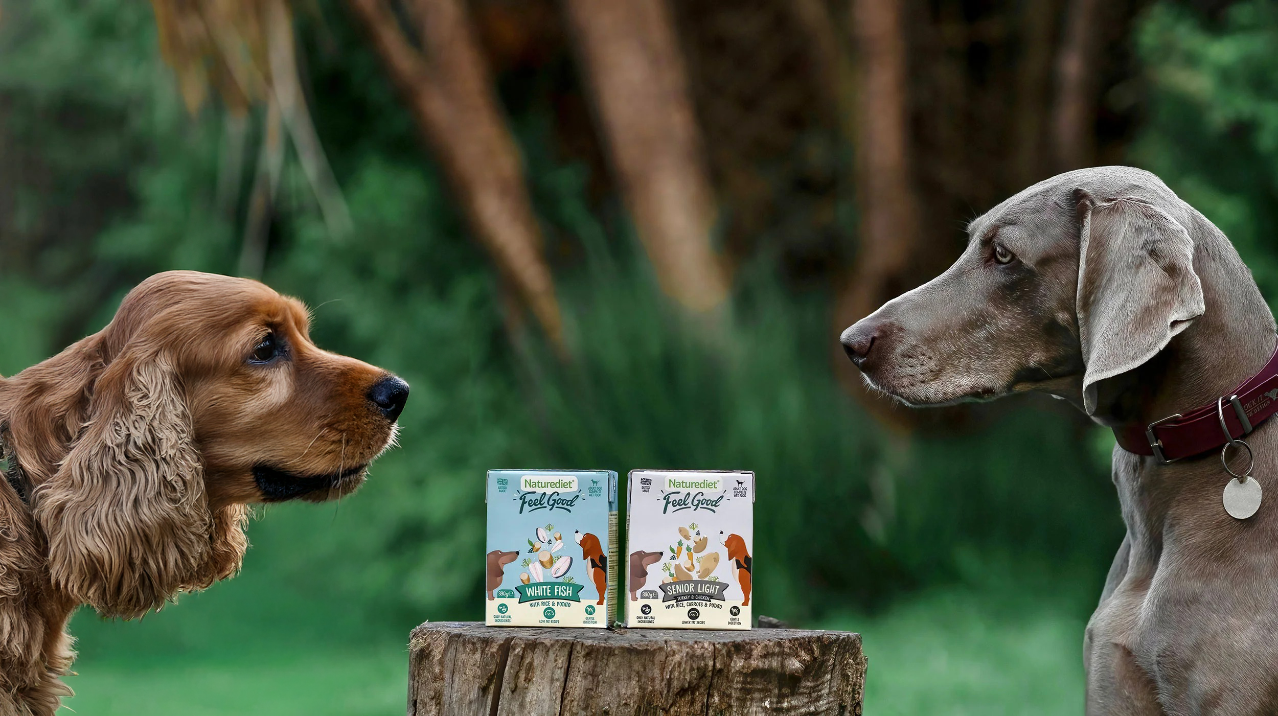 Two dogs looking at two boxes of Naturediet dog food on a log with a natural background