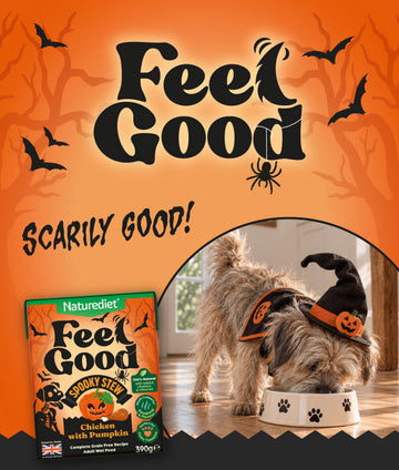 Spooky Stew