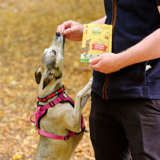 Feel Good Chicken Treats (8 x 100g Pouches)