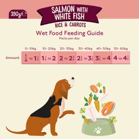 Feeding guide for Feel Good Salmon and White Fish 390g recyclable cartons