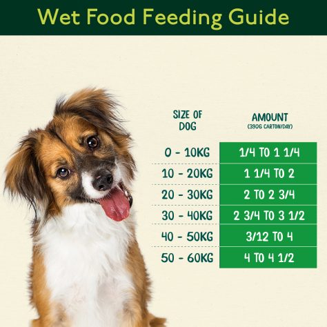 How much Naturediet Feel Good Adult Wet Dog Food 390g do I feed my dog?