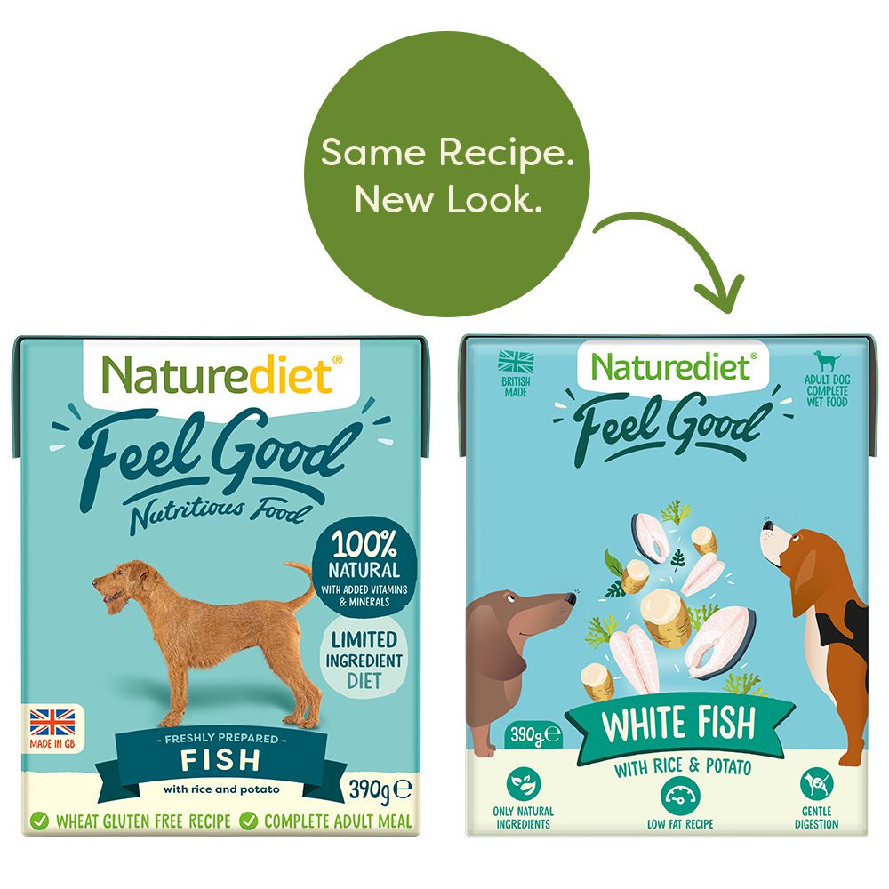 Feel Good Fish Subscription