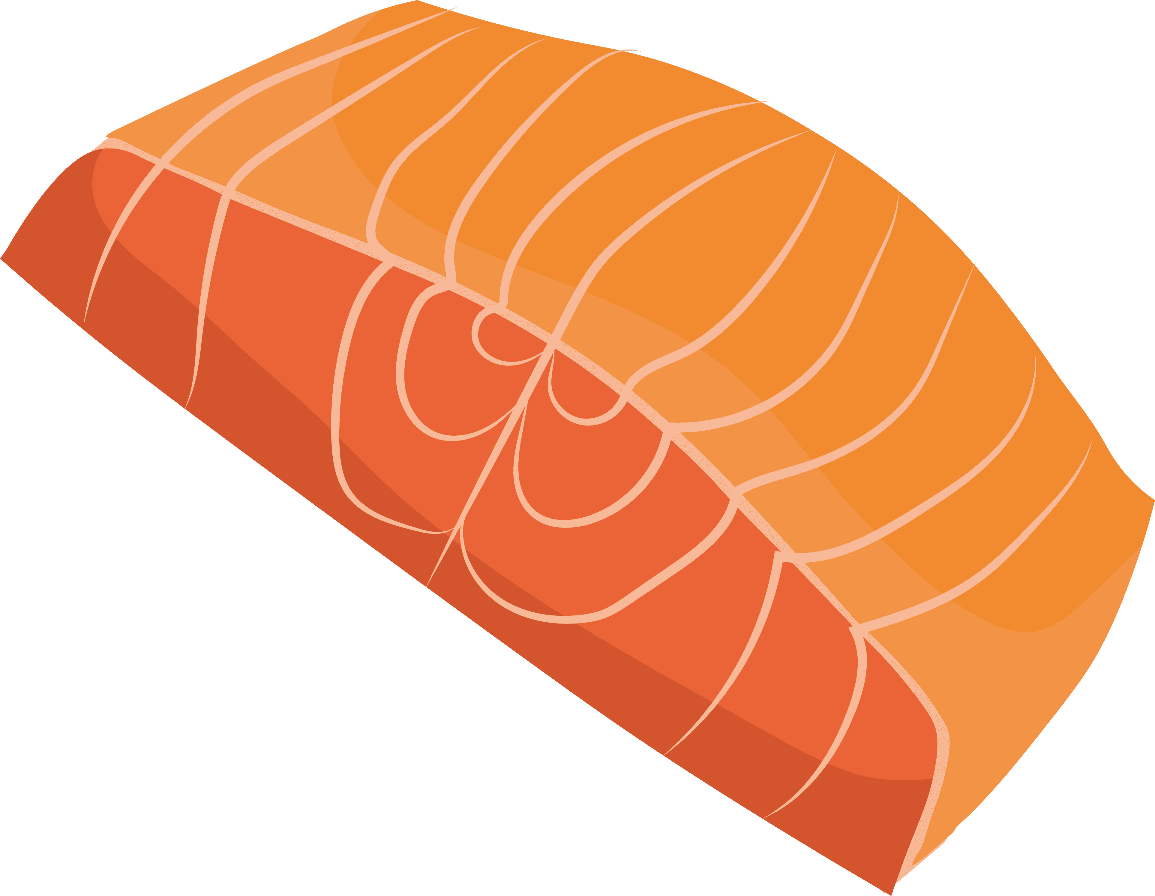 salmon dog food