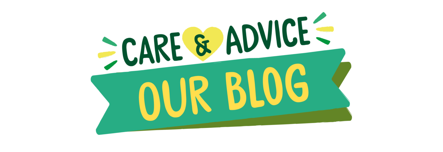 Blog for care, advice and tips for dogs and puppies