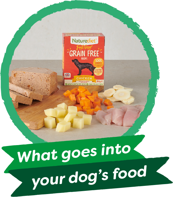 What goes into your dogs dinner?